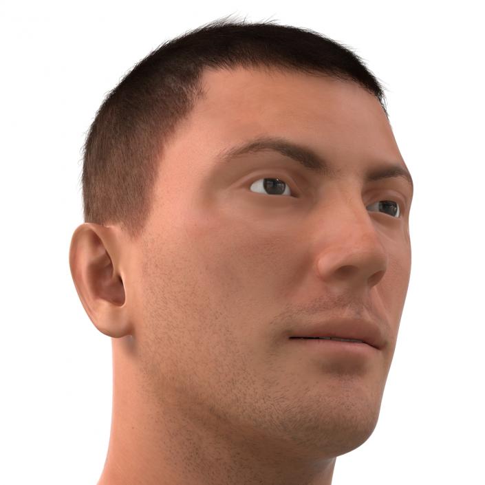 3D Male Head with Hair Rigged