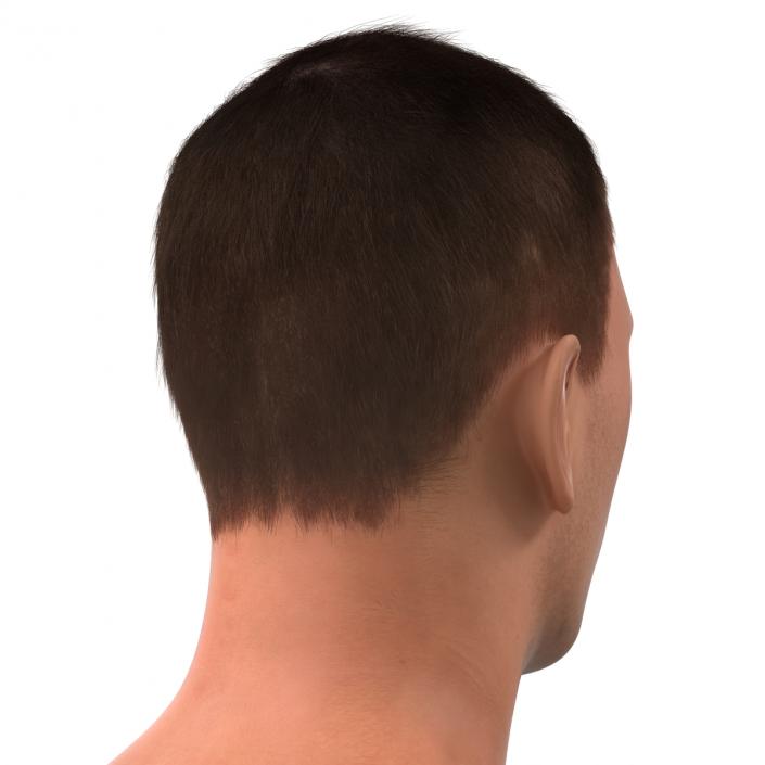 3D Male Head with Hair Rigged