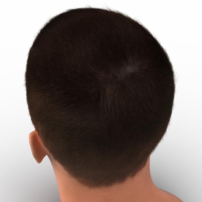 3D Male Head with Hair Rigged