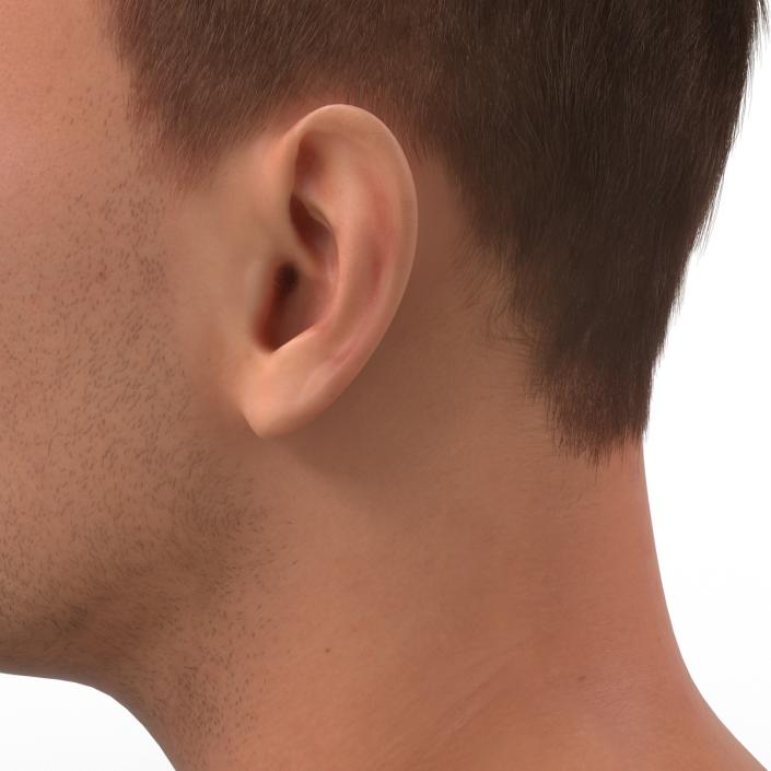 3D Male Head with Hair Rigged