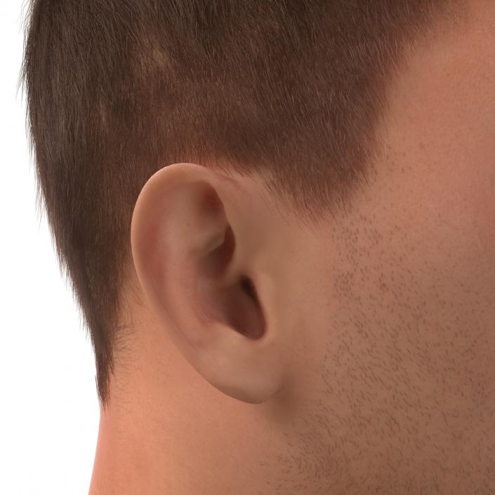 3D Male Head with Hair Rigged