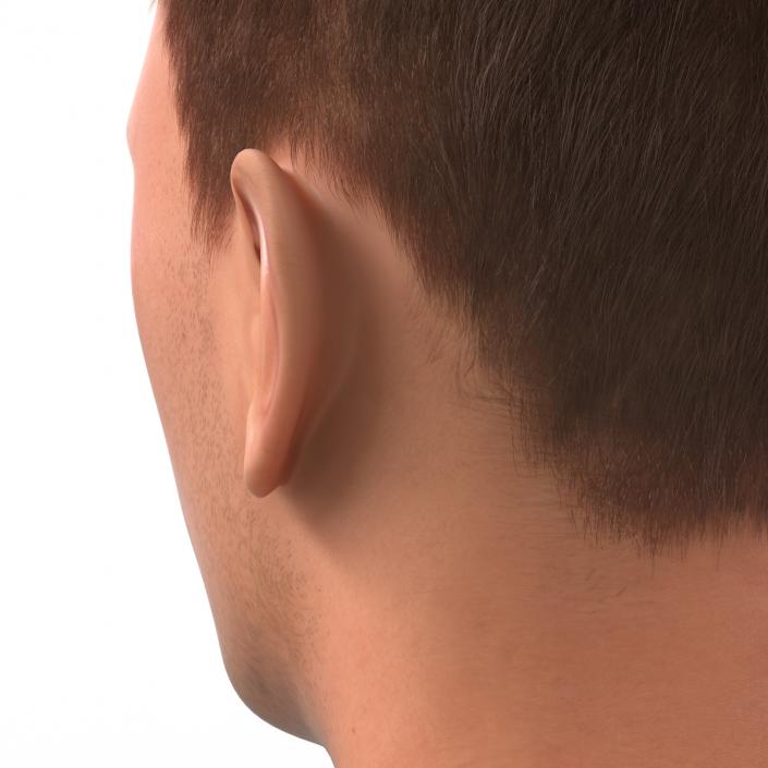 3D Male Head with Hair Rigged