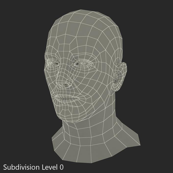 3D Male Head with Hair Rigged