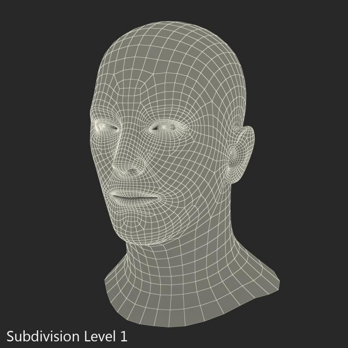 3D Male Head with Hair Rigged