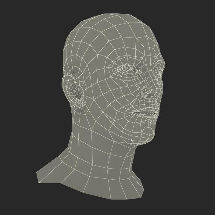 3D Male Head with Hair Rigged