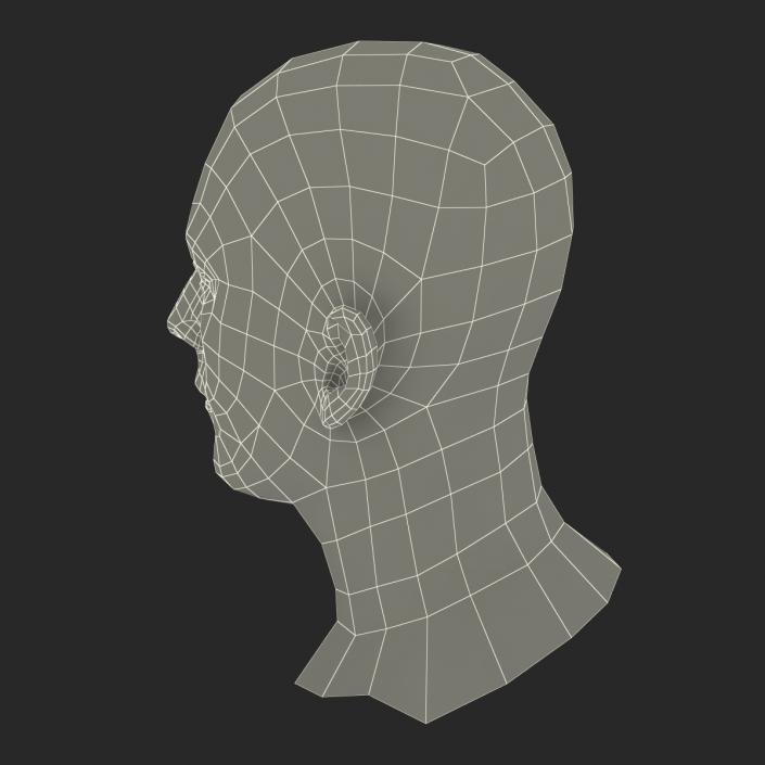 3D Male Head with Hair Rigged