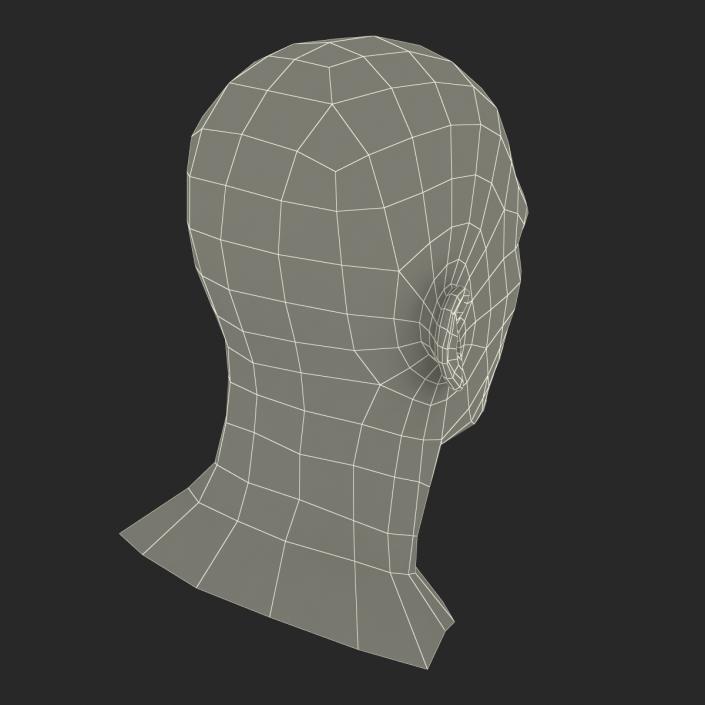 3D Male Head with Hair Rigged