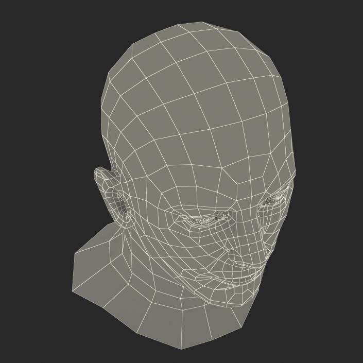 3D Male Head with Hair Rigged