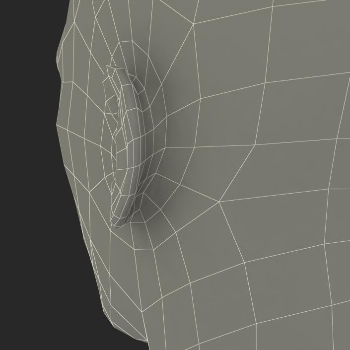 3D Male Head with Hair Rigged