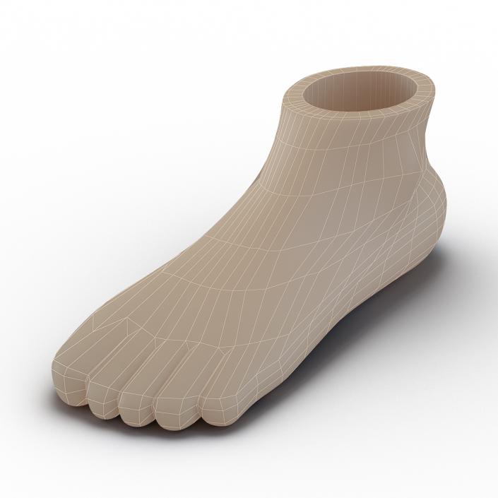 Plastic Foot 3D