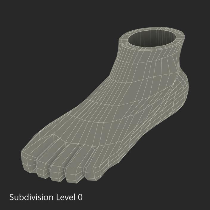 Plastic Foot 3D