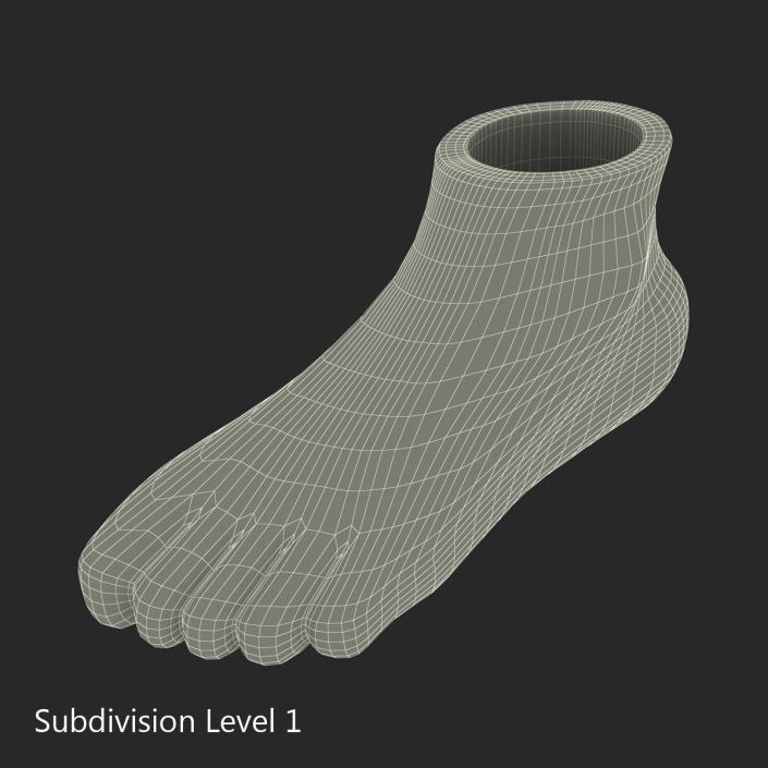 Plastic Foot 3D