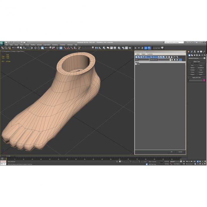 Plastic Foot 3D