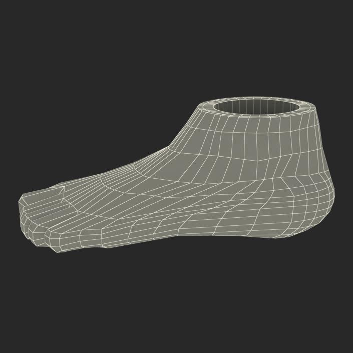 Plastic Foot 3D