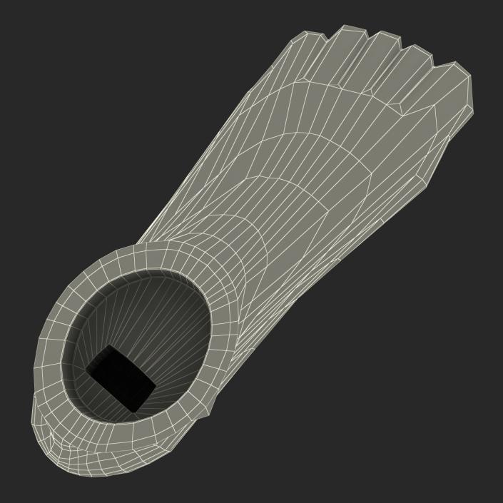 Plastic Foot 3D