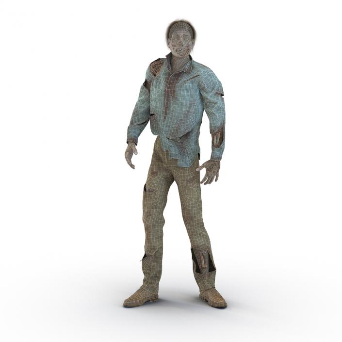 Zombie Rigged 3D Model with Hair 3D