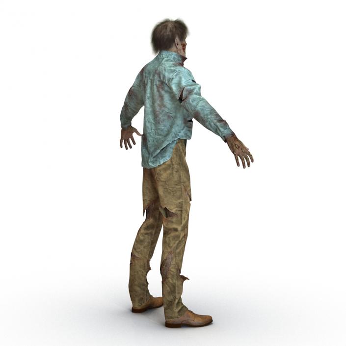 Zombie Rigged 3D Model with Hair 3D