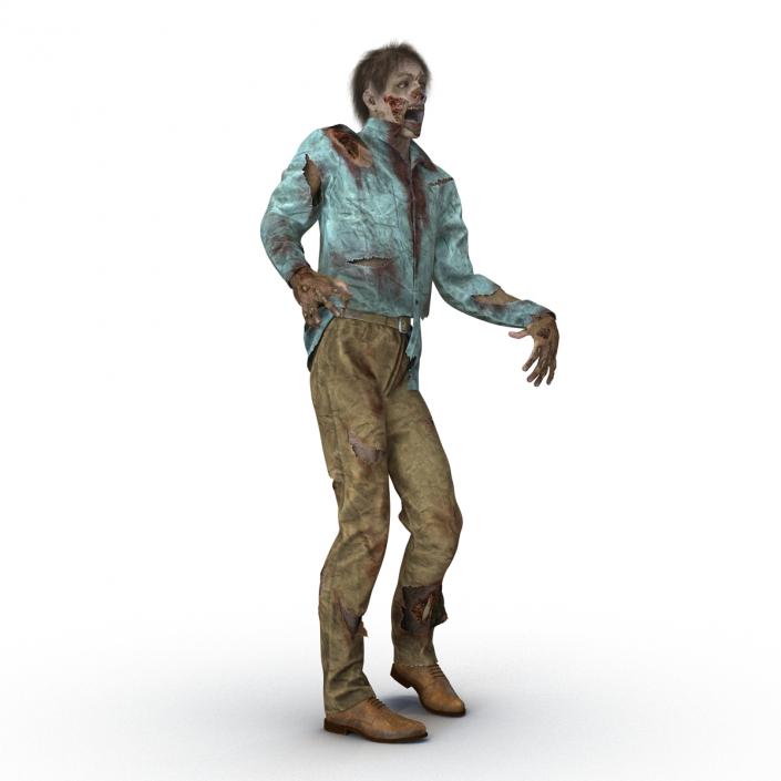 Zombie Rigged 3D Model with Hair 3D