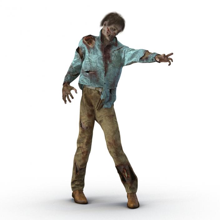 Zombie Rigged 3D Model with Hair 3D