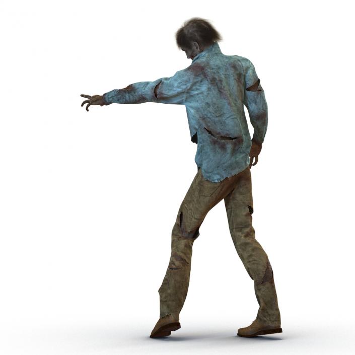 Zombie Rigged 3D Model with Hair 3D