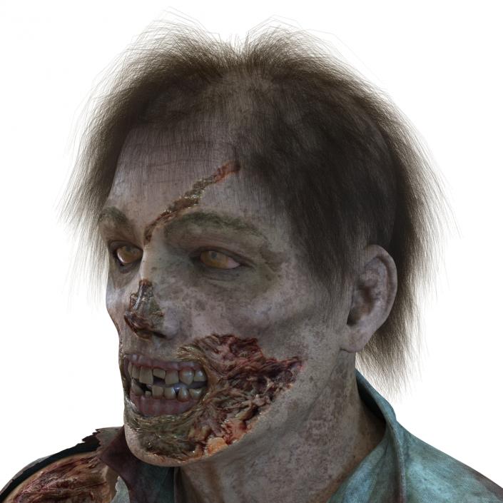 Zombie Rigged 3D Model with Hair 3D