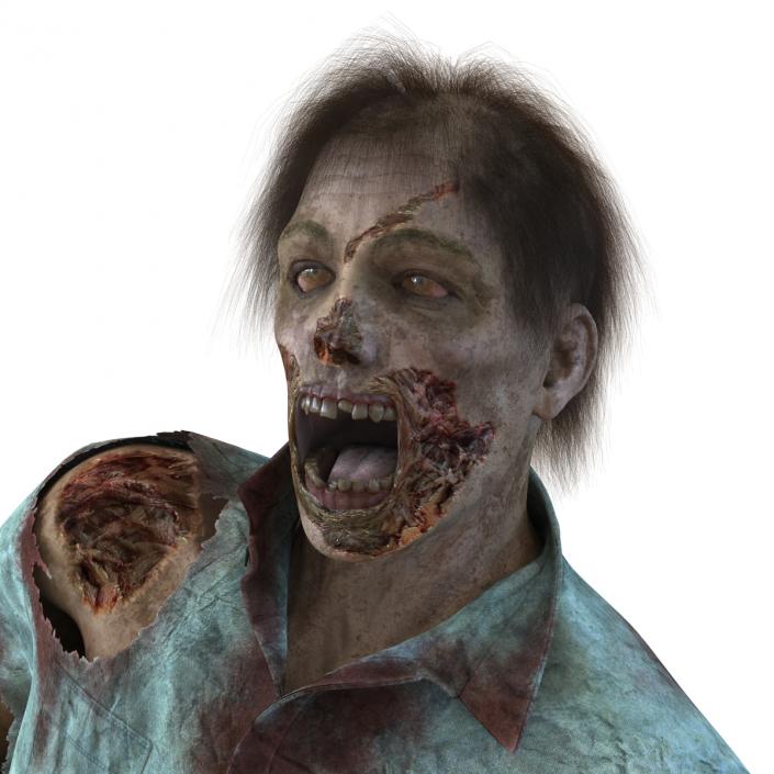 Zombie Rigged 3D Model with Hair 3D