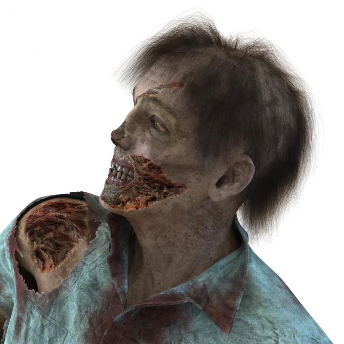 Zombie Rigged 3D Model with Hair 3D