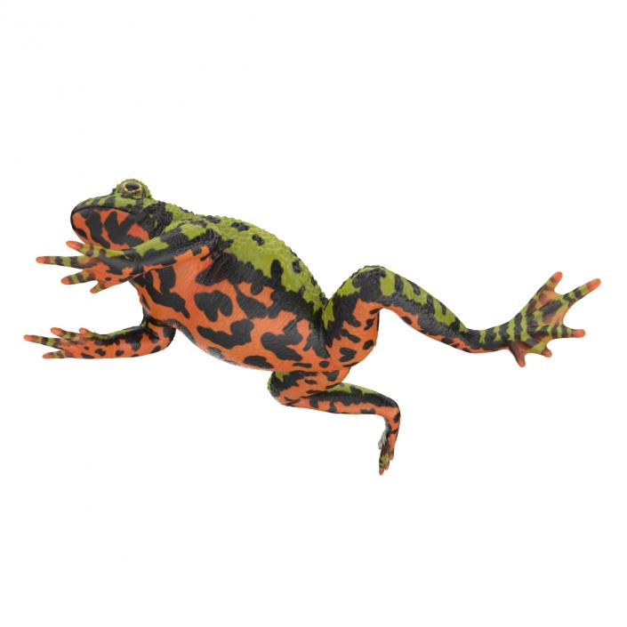 Fire Bellied Toad Frog Rigged 3D model