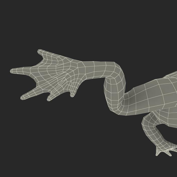 Fire Bellied Toad Frog Rigged 3D model