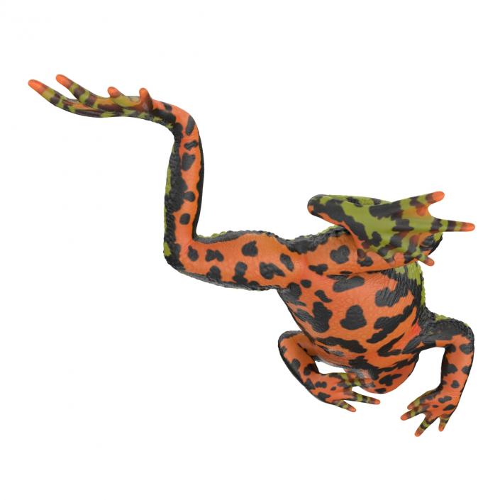 Fire Bellied Toad Frog Pose 3 3D model