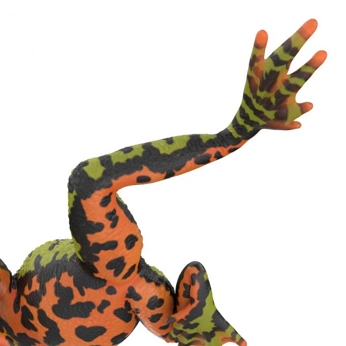 Fire Bellied Toad Frog Pose 3 3D model