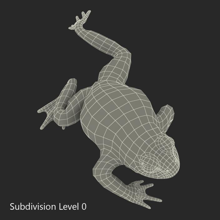 Fire Bellied Toad Frog Pose 3 3D model