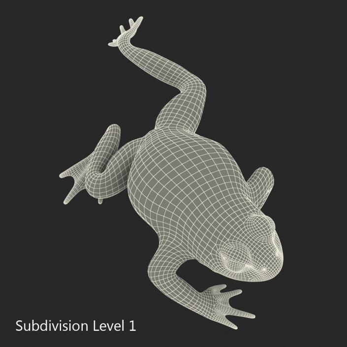 Fire Bellied Toad Frog Pose 3 3D model