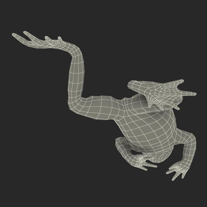 Fire Bellied Toad Frog Pose 3 3D model