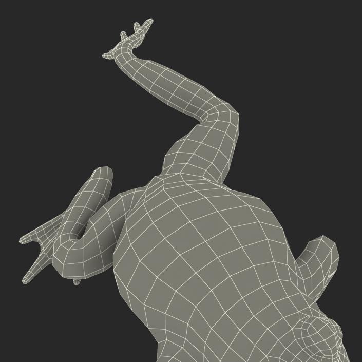 Fire Bellied Toad Frog Pose 3 3D model