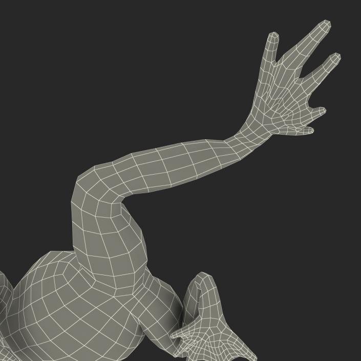 Fire Bellied Toad Frog Pose 3 3D model