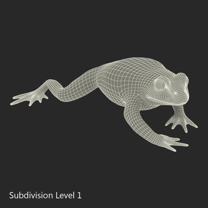 Fire Bellied Toad Frog Pose 4 3D model