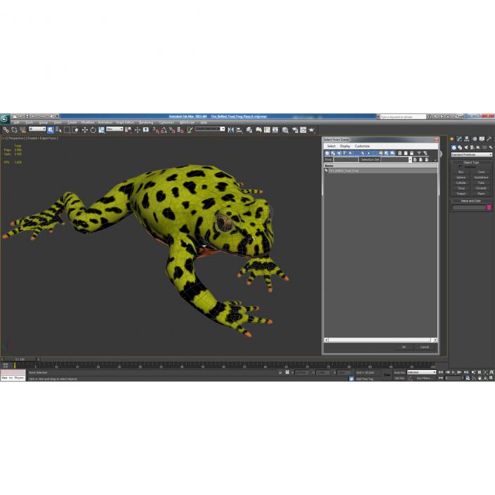 Fire Bellied Toad Frog Pose 4 3D model