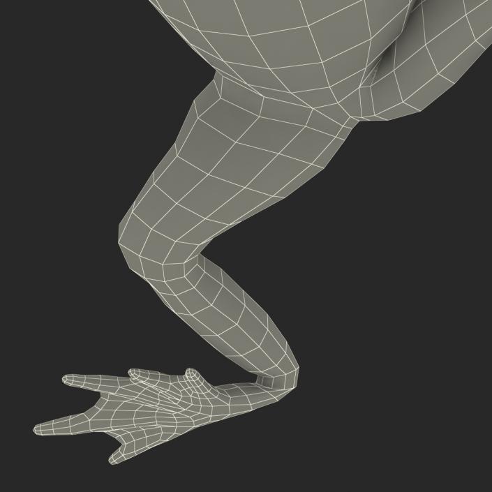 Fire Bellied Toad Frog Pose 4 3D model