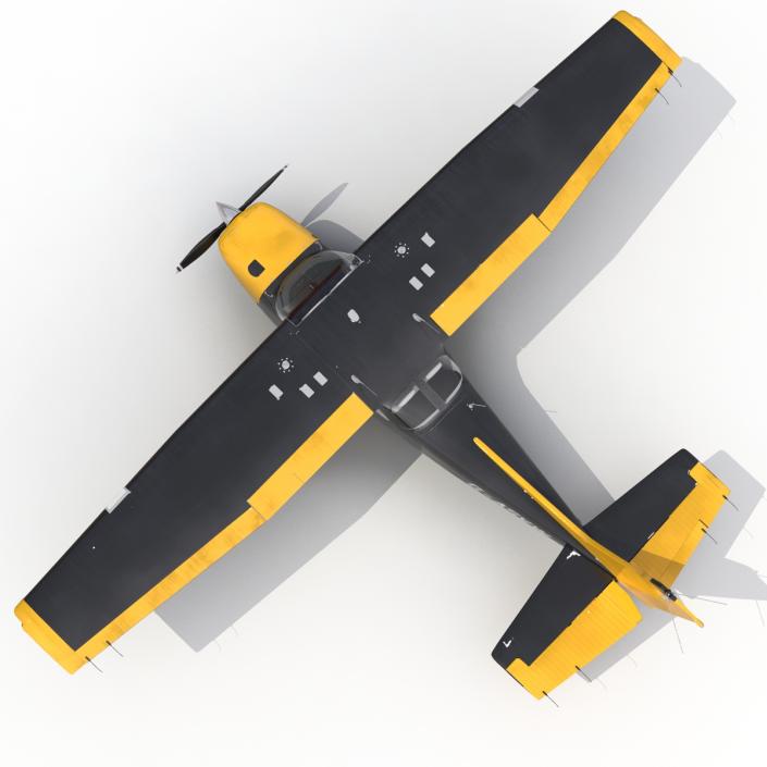 3D Cessna 172 Black Rigged model