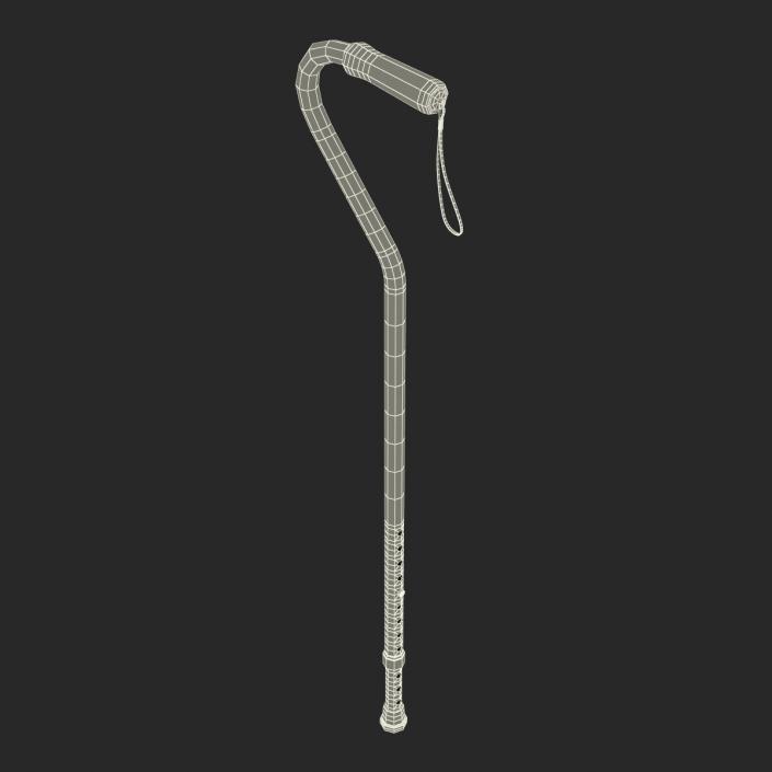 3D Offset Cane