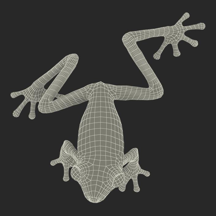 3D Tree Frog Pose 3