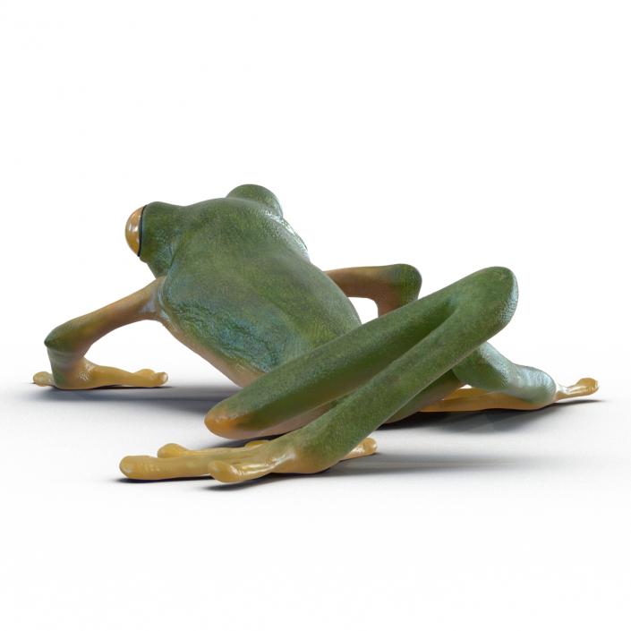 3D Tree Frog Rigged