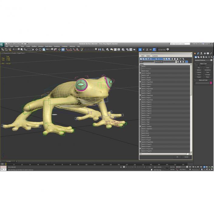 3D Tree Frog Rigged