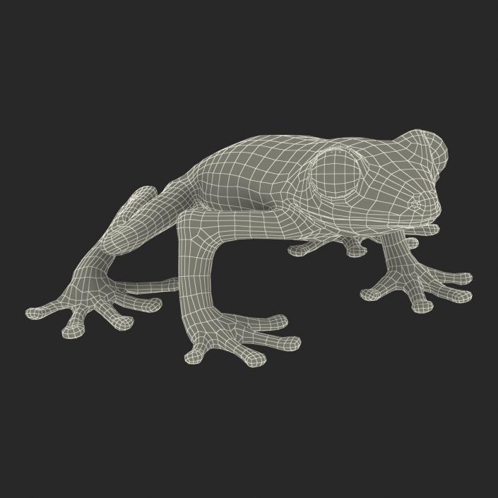 3D Tree Frog Rigged