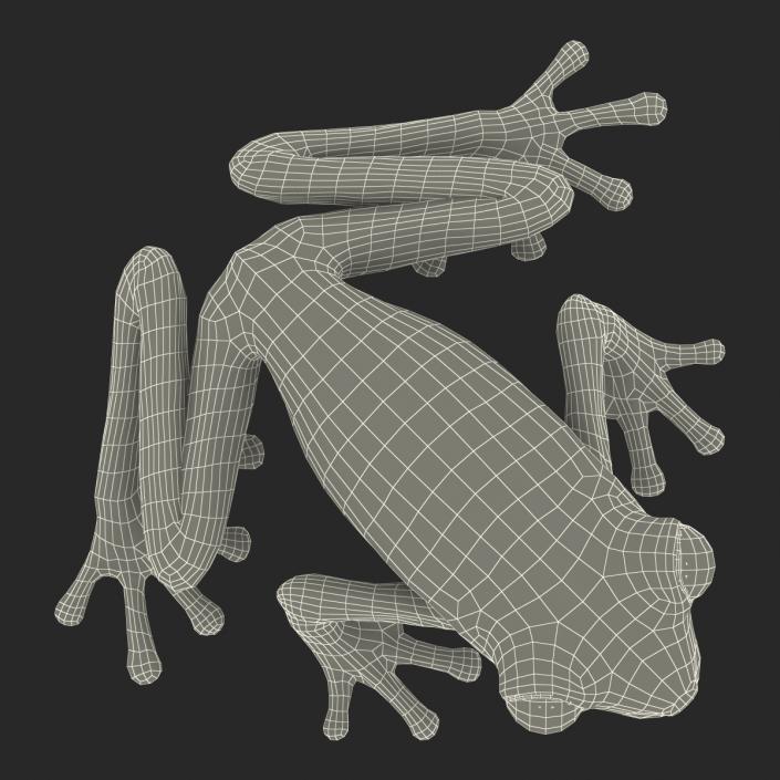 3D Tree Frog Rigged