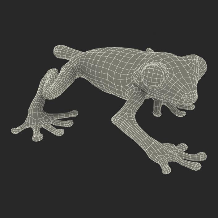 3D Tree Frog Rigged