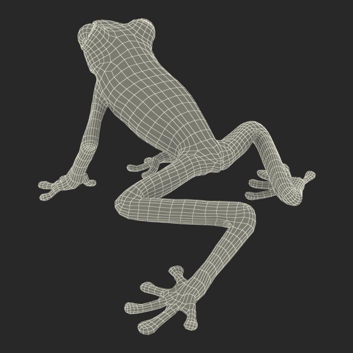 3D Tree Frog Rigged