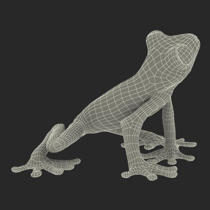 3D Tree Frog Rigged