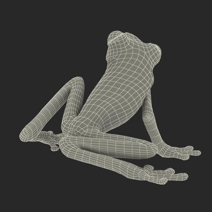 3D Tree Frog Rigged